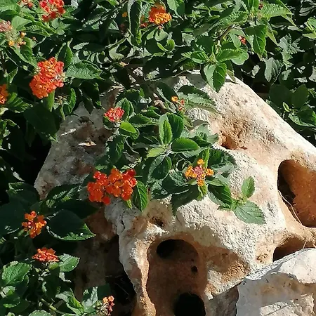 Hébergement de vacances In Siciliana *