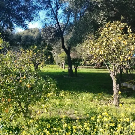 In Siciliana